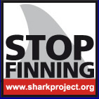 sharkproject.com Wir k&auml;mpfen f&uuml;r Haie!