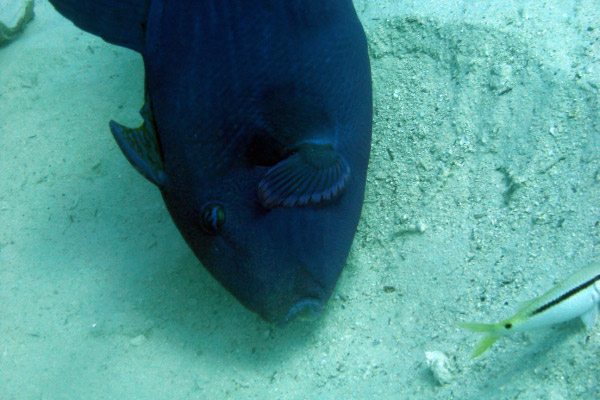 DSC02318_bearbeitet-1