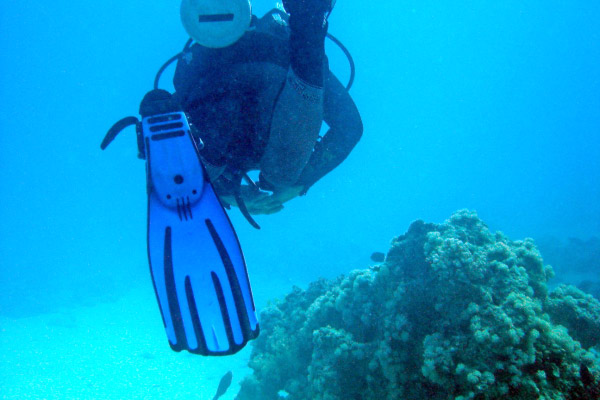 DSC02319_bearbeitet-1