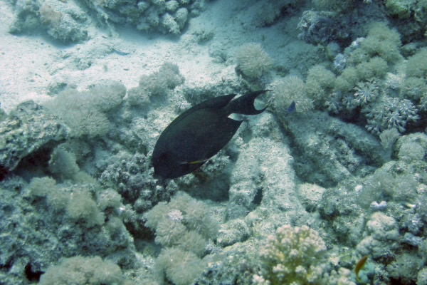 DSC02320_bearbeitet-1