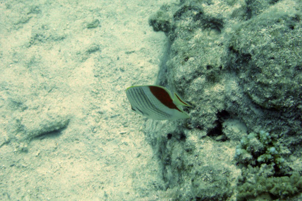 DSC02322_bearbeitet-1