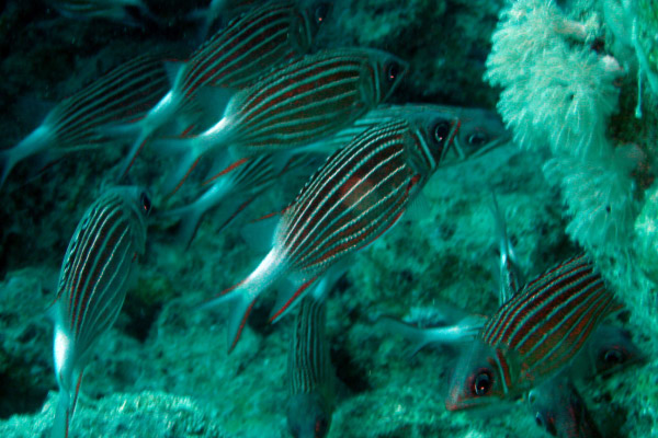 DSC02326_bearbeitet-1