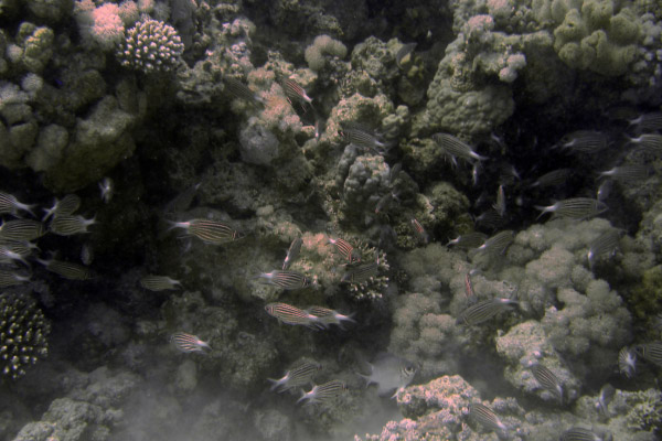 DSC02328_bearbeitet-1