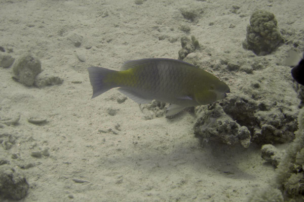 DSC02329_bearbeitet-1