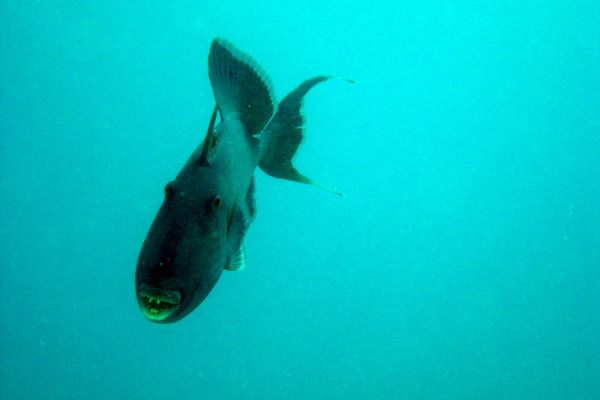 DSC02335_bearbeitet-1