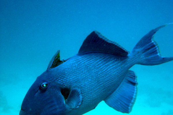 DSC02337_bearbeitet-1