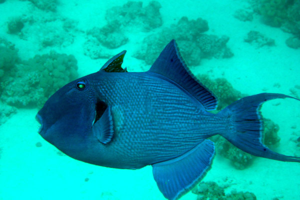 DSC02338_bearbeitet-1