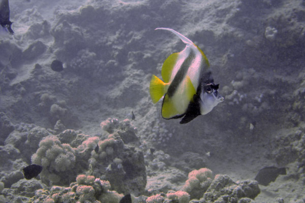 DSC02342_bearbeitet-1