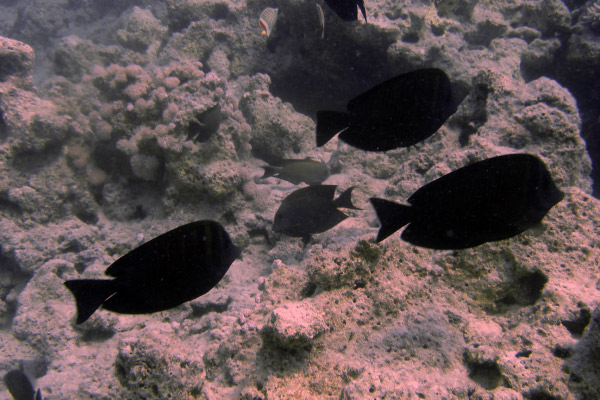 DSC02347_bearbeitet-1