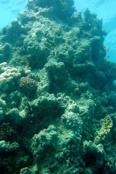 DSC02351_bearbeitet-1