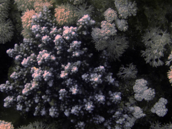 DSC02388_bearbeitet-1